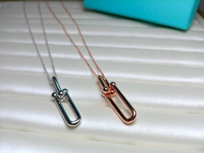 [⭐Luxery Jewels]HARDWEAR DOPPELGLIEDER-ANHÄNGERKETTE
