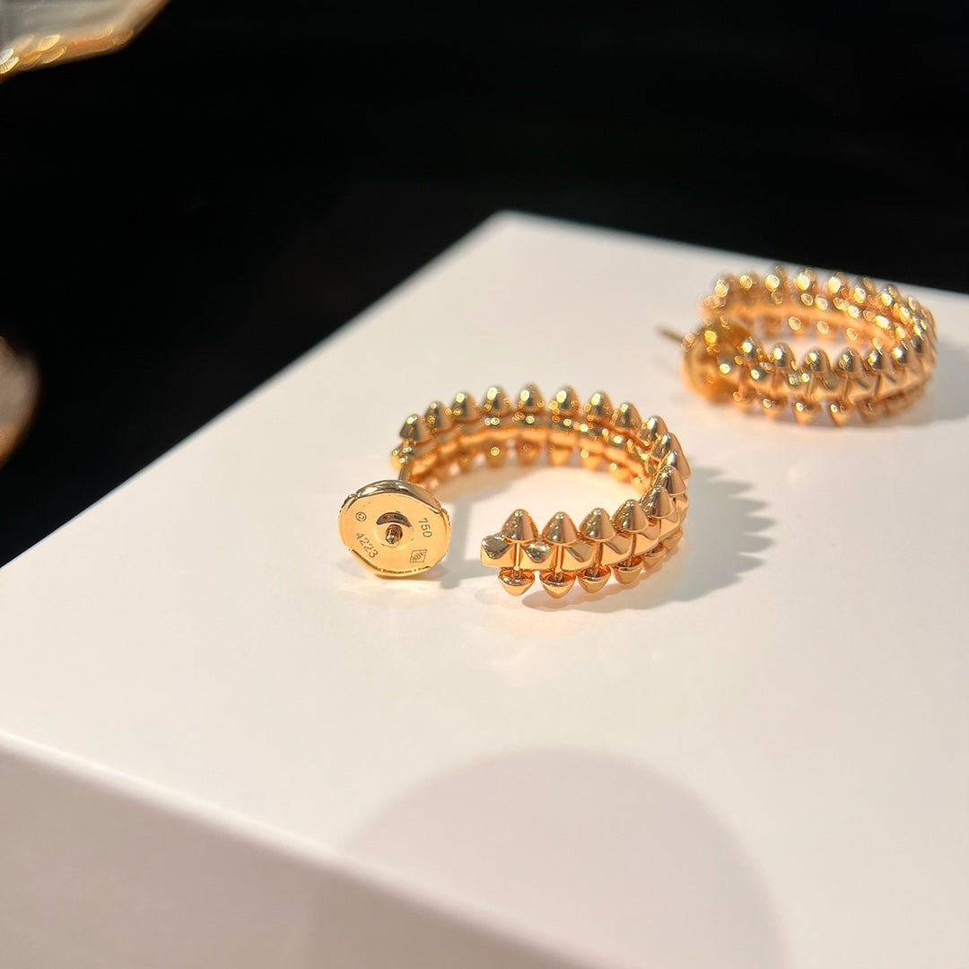 [Luxery]CLASH EARRINGS