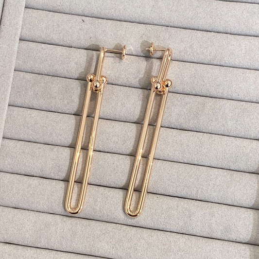 [⭐Luxery Jewels]HARDWEAR DOUBLE LONG LINK EARRINGS