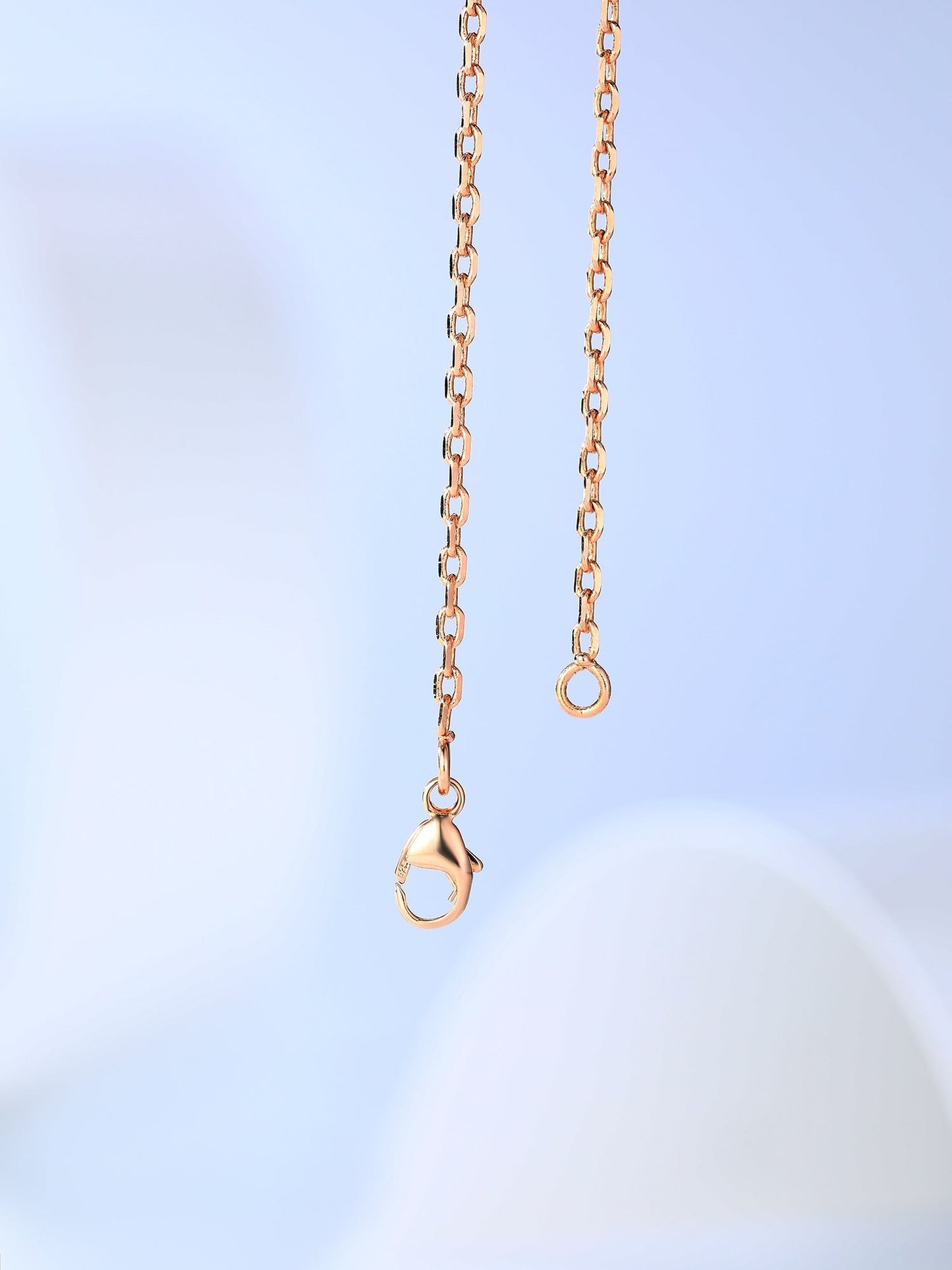 [Luxery]H CAGE PINK GOLD NECKLACE