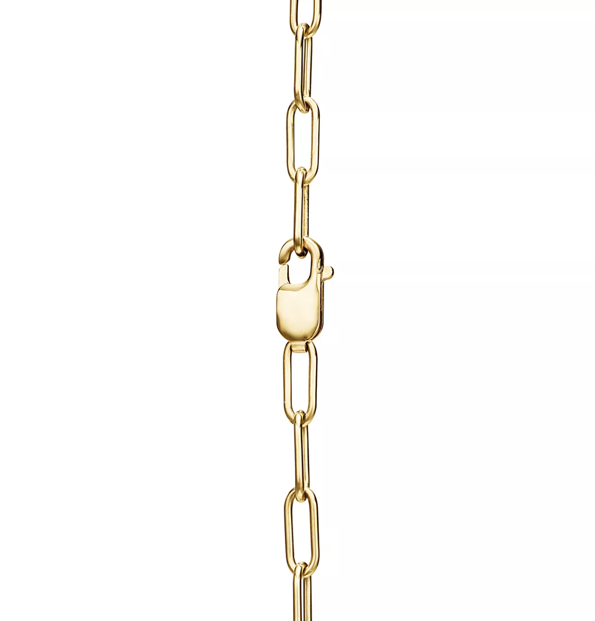 [⭐Luxery Jewels]LOCK NECKLACE GOLD