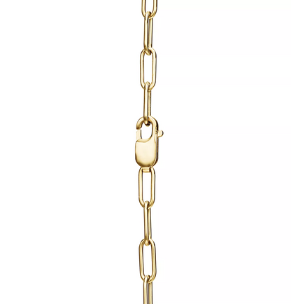 [⭐Luxery Jewels]LOCK NECKLACE GOLD
