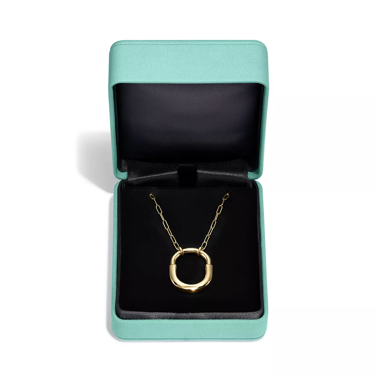 [⭐Luxery Jewels]LOCK NECKLACE GOLD