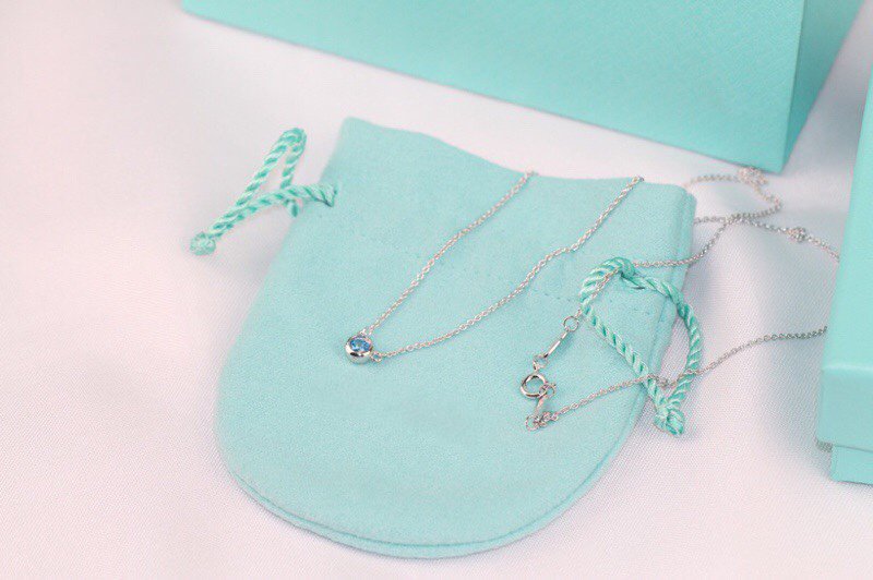 [⭐Luxery Jewels]ELSA PERETTI SERIES SINGLE DIAMOND SIMPLE NECKLACE