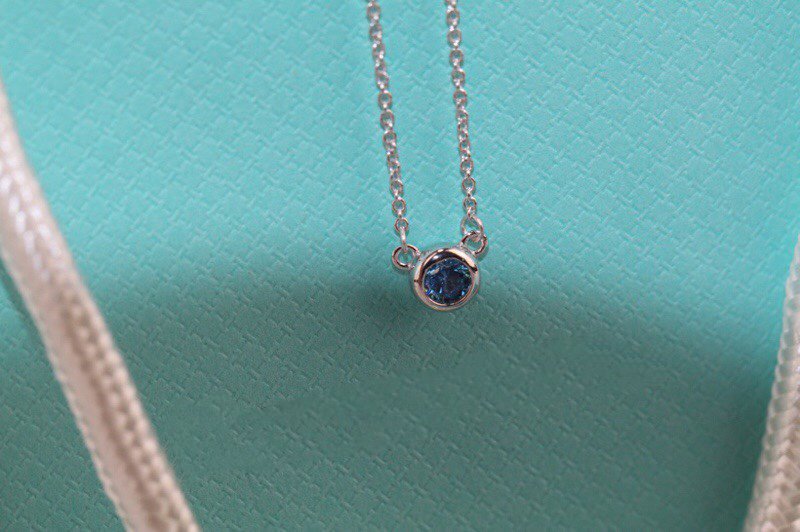 [⭐Luxery Jewels]ELSA PERETTI SERIES SINGLE DIAMOND SIMPLE NECKLACE