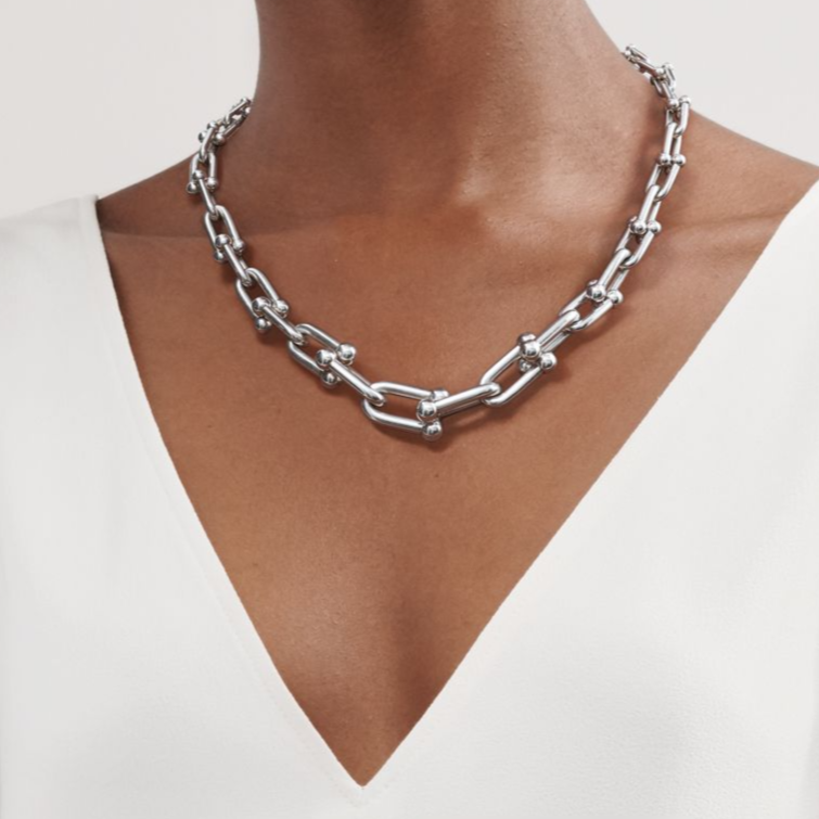[⭐Luxery Jewels]HARDWEAR SILVER CHOKER