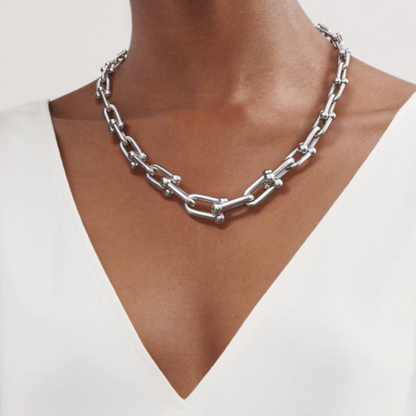 [⭐Luxery Jewels]HARDWEAR SILVER CHOKER