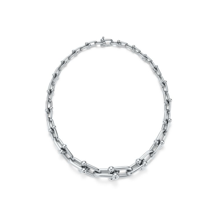 [⭐Luxery Jewels]HARDWEAR SILVER CHOKER