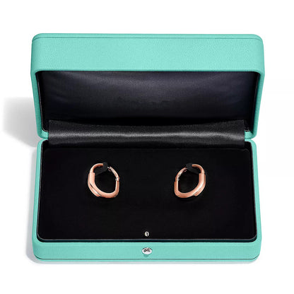 [⭐Luxery Jewels]LOCK MEDIUM DIAMNOND EARRINGS